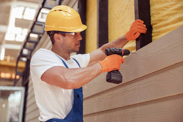 Best Custom Trim and Detailing for Siding  in Long Neck, DE